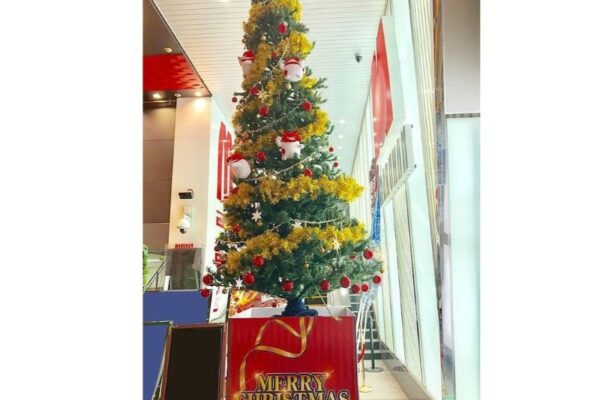 🎄もうすぐクリスマス！イベント21のおすすめアイテムをご紹介します🎅✨