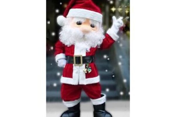 🎄 サンタ＆トナカイ着ぐるみ特集